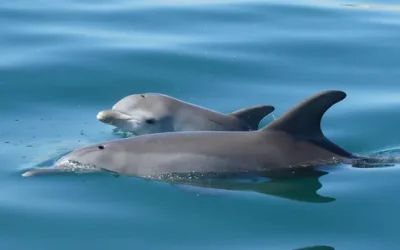 gjtoesiu7chbdvuohko7