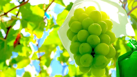 Korea DMZ from Seoul and the War Memorial of Korea Day Tour