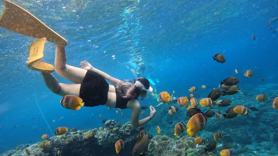 The Land of Legends Night Show with Roundtrip transfer from Side