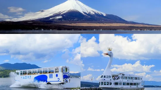 Tokyo sightseeing instagrammable day tour with Cruise Experience