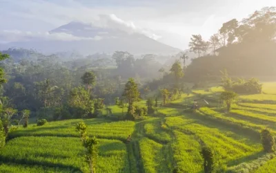 gr0h36dya5qu2t6tucsf