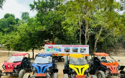 gu6mqki8prqcgckopk6t