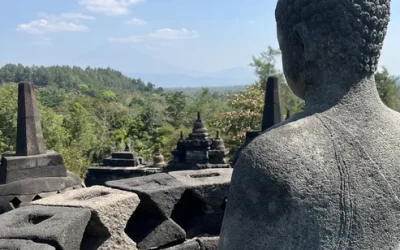 Jokulsarlon Glacier Lagoon and South Coast Day Tour from Reykjavik guhcivn47ye15ormrpkd