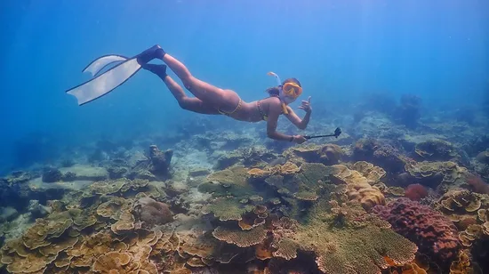 Glamping in New Taipei by The Old Farmer