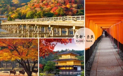 Blue Lagoon Snorkeling in Bali with Optional Activities & Tour gzdxcf5z3n00vbfa1wgd