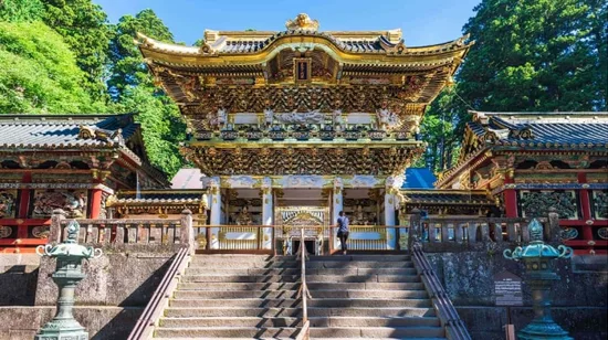 Mangrove or Fireflies Tour in Bintan