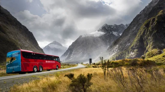 Fox Glacier Valley E-Bike & Hike