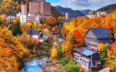 Phang Nga Bay and James Bond - Sea Canoe Day Trip from Phuket i4e7y402wnmjbba7x8ql
