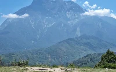 i4wddglkoaz2fmoicbaq