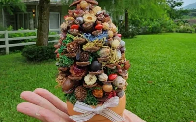 Hualien: Gancheng Town B&B - Pinecone Immortal Seed Tree DIY