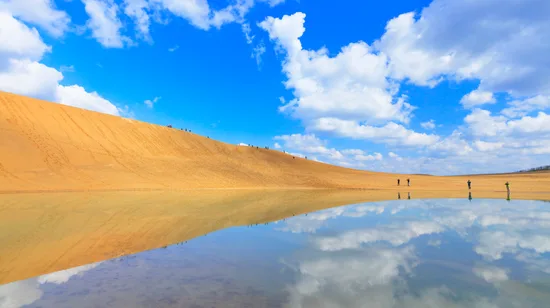 Kimono Rental Experience in Kyoto by MK mimosa