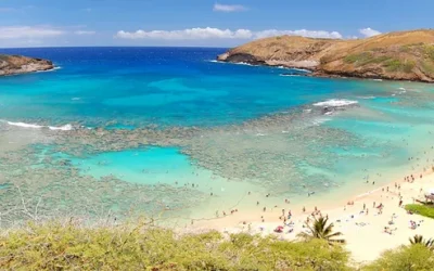 isgbw76csxfw4tvvksns