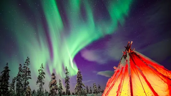 Alpaca World, Suspension Bridge & Luge Day Tour from Seoul 11 Alpaca World, Suspension Bridge & Luge Day Tour from Seoul