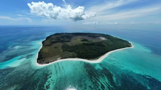 Popular One-Day Tour in Biei and Furano, Hokkaido (Patchwork Road & Shikicai Hill & Herb Garden & Farm Tomita & Forest Fairy Terrace) (Optional Lunch & All-You-Can-Eat Melon Included) 12 Popular One-Day Tour in Biei and Furano, Hokkaido (Patchwork Road & Shikicai Hill & Herb Garden & Farm Tomita & Forest Fairy Terrace) (Optional Lunch & All-You-Can-Eat Melon Included)