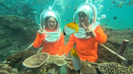 Shenao Elephant Trunk Rock SUP Experience in New Taipei