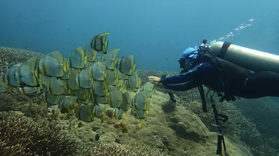 Taipei City Tour with National Palace Museum Ticket 18 Taipei City Tour with National Palace Museum Ticket