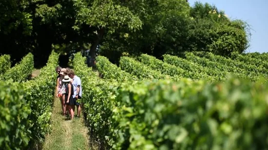 Samurai Photoshoot Experience in Tokyo