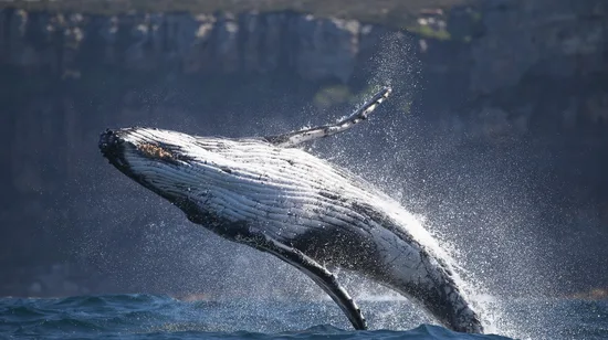 Hotsister Massage in New Taipei CIty 10 Hotsister Massage in New Taipei CIty