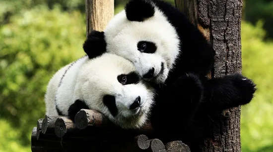 Beijing: Chinese Ming Dynasty Palace Costume Photography