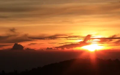 j8owl0dom5ewug6hdb09