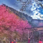 Hsinchu Simacus + Zhenxibao Shenm - 2D1N Hiking Tour