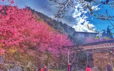 Hsinchu Simacus + Zhenxibao Shenm - 2D1N Hiking Tour
