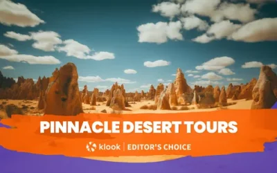 Saint Emilion Village and Wineries Tour with lunch from Bordeaux jozbmufutzm4qq1gojyd