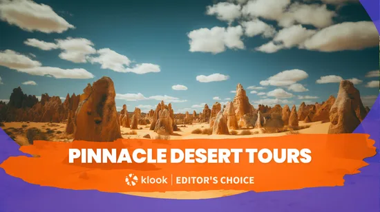 Saint Emilion Village and Wineries Tour with lunch from Bordeaux 12 Saint Emilion Village and Wineries Tour with lunch from Bordeaux