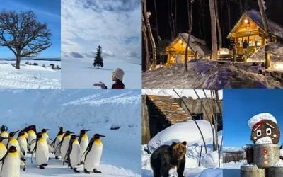 jpp0qa1g4vlcnwcpttzv