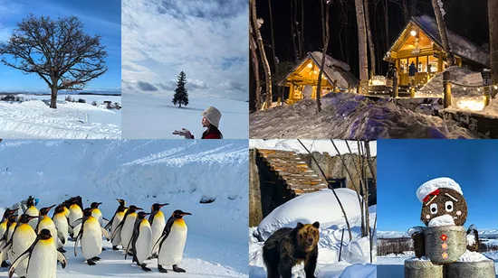 3 Island Hopping Buom, Gam Ghi, and May Rut Island Boat Day Tour