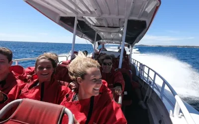 jtui6xnxs31dvlqshsuk