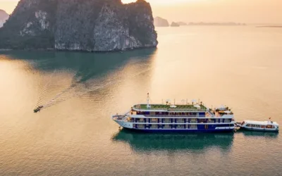 jw6txsplw6kvgtmzl4f8