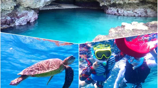 Ishigaki Island: 1-Day Mangrove SUP/Canoeing & Blue Cave Snorkeling Tour