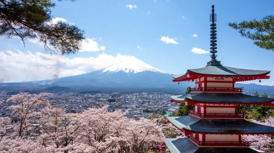 Penghu chartered car: 8-9-seater minibus chartered car for a walk – local guide driver, photography tour, and online beauty spots