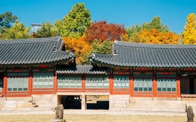 Horse Riding in Yilan by Hills Horses House kerifvfjcxuemgxr7vfu