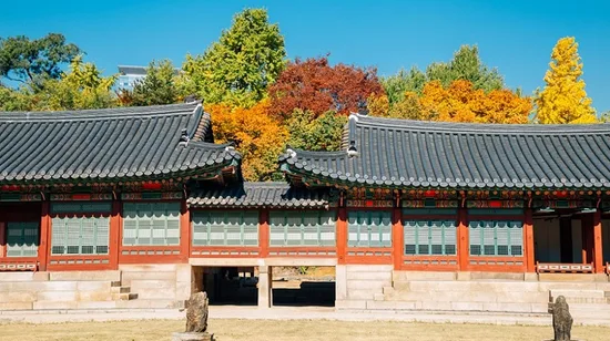 Horse Riding in Yilan by Hills Horses House