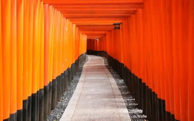 kkge55dfvhqtigje1ev8