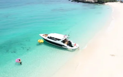 ksay9ovkq9gczl2ypptr