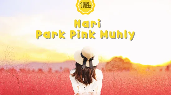 Tokyo Asakusa Rickshaw Tour