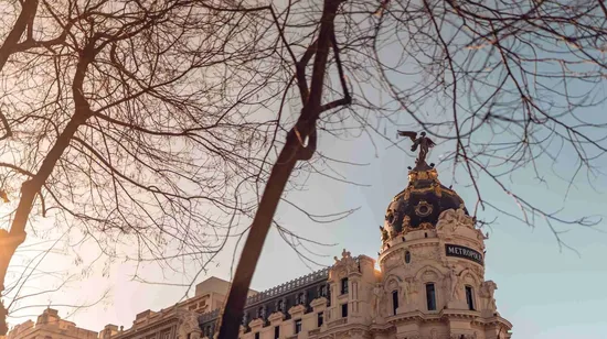 Hong Kong Open Top Sightseeing Bus Tour | Peak Tram Ride/ Temple St
