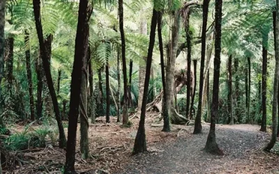Furano Departure Farm Tomita, Blue Pond, Shirahige Waterfalls tour lcv2yyzqt1osag6q6unz