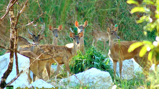 Hualien: Three-storey Nanxi River Trace Experience
