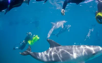 lrgos07pmat9qxrska4k