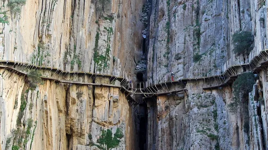 Hamburg St. Pauli Sex and Crime Tour 14 Hamburg St. Pauli Sex and Crime Tour