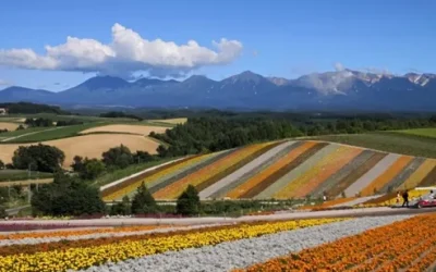 lunnsgw8upduajeks26n