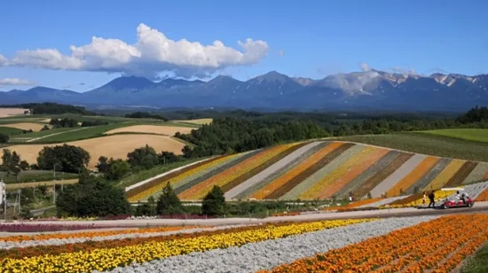 Kek Lok Si & Penang Hill Half Day Tour