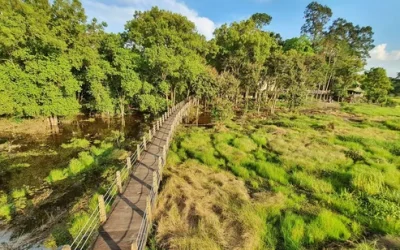 lwqfmjmoryqdoqz6zzsu