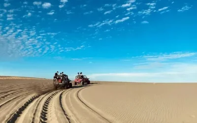 lxiaicn9xrjv2dca9ini