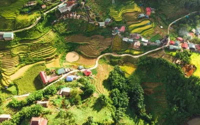 lzl8ap44t9yzg7zxa0n7