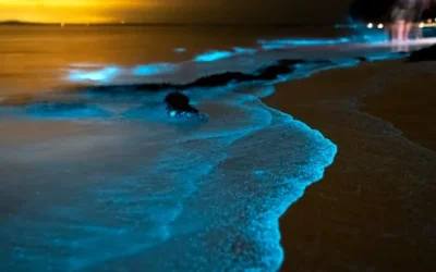 ma2rwlieyrlqdjxfk5do